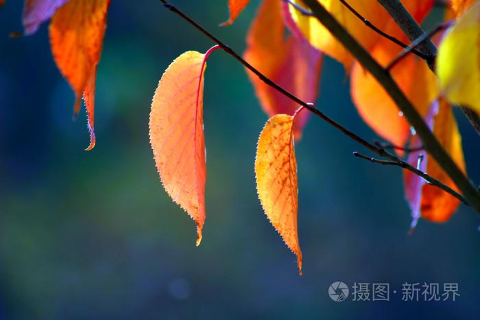 免费夜色私人影院在线观看,丁香五月天婷婷网,无码人妻av免费一区二区三区