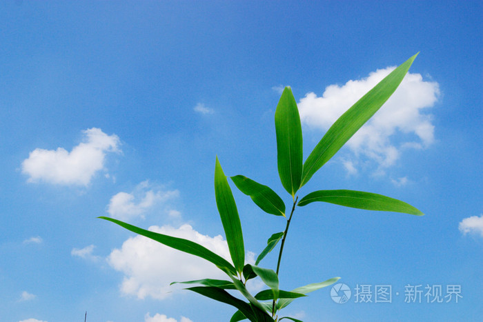 毛片电影亚洲,亚洲高清在线一区,最爽的乱亲女伦小说
